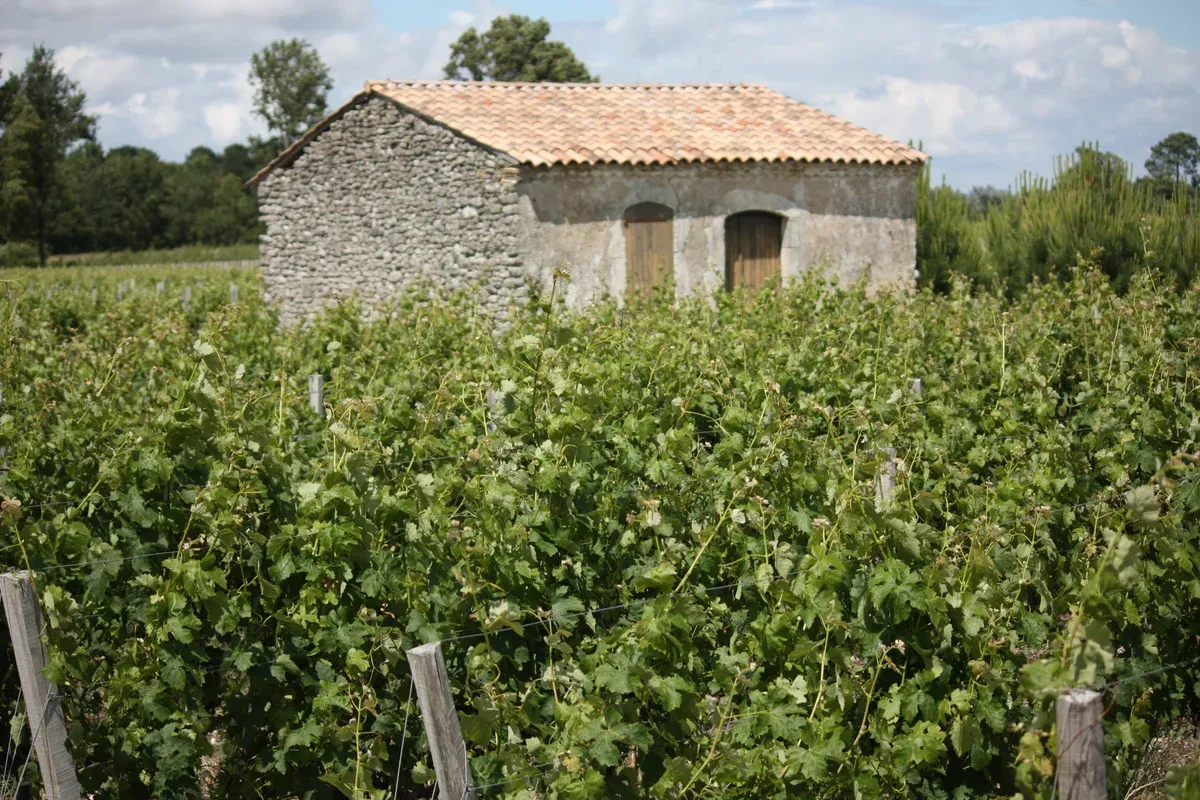 A stone vineyard hut in Moulis-en-Médoc, in the Médoc, one of the regions a Bordeaux wine day tour can reach